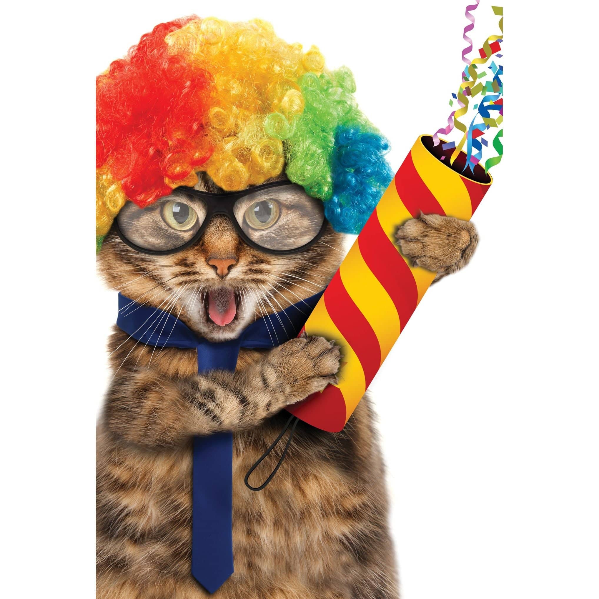 Colorful clown wig cat birthday card featuring a funny illustration, perfect as an everyday greeting card by Pictura.